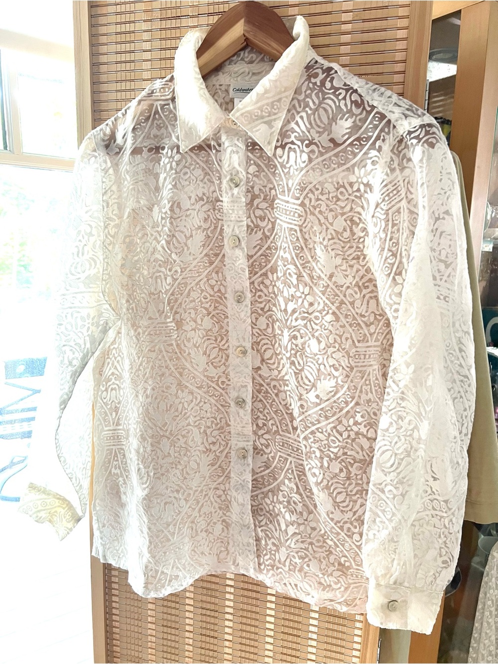 Translucent Light & Lace Summer Cover Up & Button-Down Blouse PL